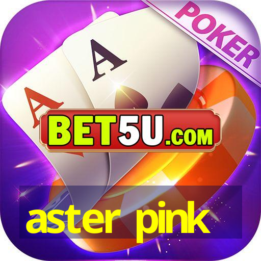 aster pink